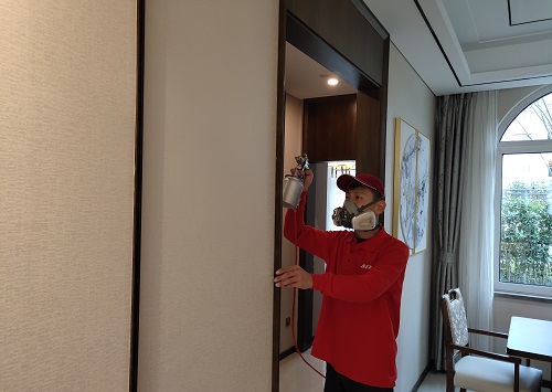 IMG_20191130_110723.jpg